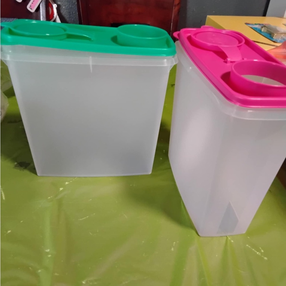 Set of Two Plastic Storage Containers with Green and Pink Lids